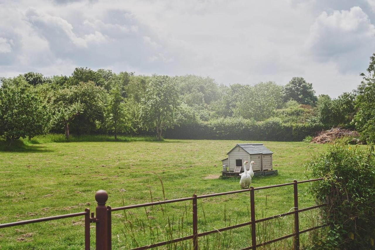Beckford Apple Tree Cottage מראה חיצוני תמונה